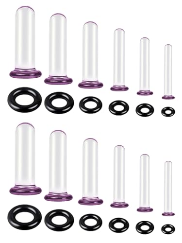 WINSENET 6 Pairs Glass Ear Gauges Stretching Kit 1.6-5mm Plugs for Ears Gauges with Rubber Rings Single Flare Glass Ear Stretching Kit Ear Expander Body Piercing Jewelry for Women Men