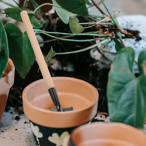 Homoyoyo Juego de Herramientas de Jardinería Manual Portátil 3 Piezas Mini para Plantar Excavar y Trasplantar Mango de Madera Kit Pequeño para Interiores y Jardinería en Macetas - imagen 6