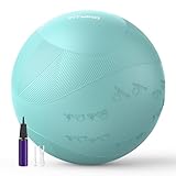 FITMIND Extra Thick Yoga Ball with Training Instruction, Anti-Burst Slip Resistant Exercise Ball with Pump for Pilates,Physical Therapy,Pregnancy Stability,Birthing Ball 22in 26in 30in