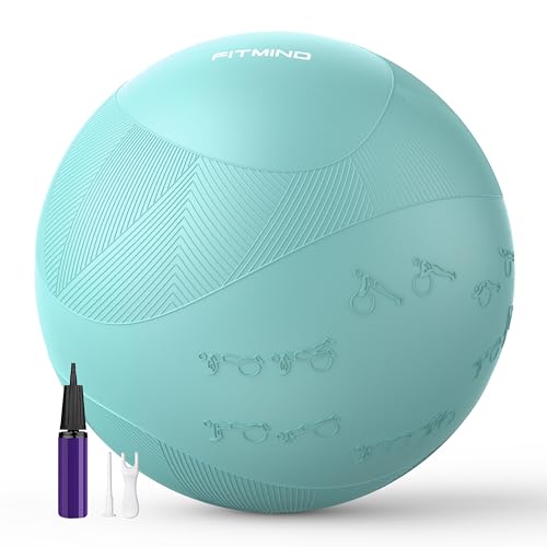 FITMIND Extra Thick Exercise Ball with Embossed Pattern,Yoga Ball 22in/26in/30in for Workout Pregnancy Stability,Anti-Burst and Slip Resistant Swiss Ball with Pump for Yoga, Pilates,Physical Therapy