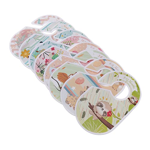 PLAFOPE 8 Zp[^[ m I[KiCU[ p N[ ^X m m xr[ m TCY d؂ N[ I d؂ m bN TCY d؂ N[