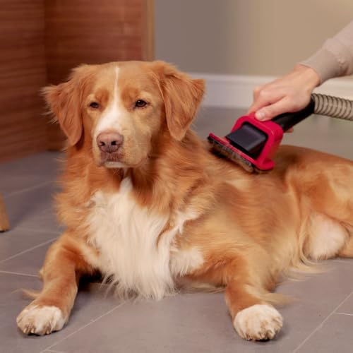 Image of Dyson Pet Grooming kit for Your V16 Piston Animal Cordless Vacuum