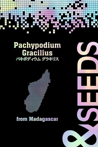 [20��]�p�L�|�f�B�E���E�O���L���X �� ���򍪐A�� �ۉ�{ �ϗt�A�� (20)