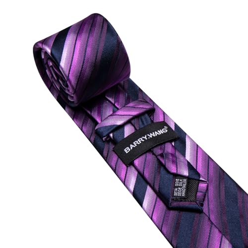 Image of Barry.Wang Silk Men Ties Formal Stripes Necktie and Tie Clip for Wedding Party Business Fashion Classic