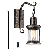 GLADFRESIT Vintage Wall Sconces Oil Rubbed Plug in, Industrial Wall Lights Rustic 2 in 1 Design, Glass Shade Lighting Fixture with 6.6FT Cord for Indoor Home Décor Headboard (Bronze-Plug in)