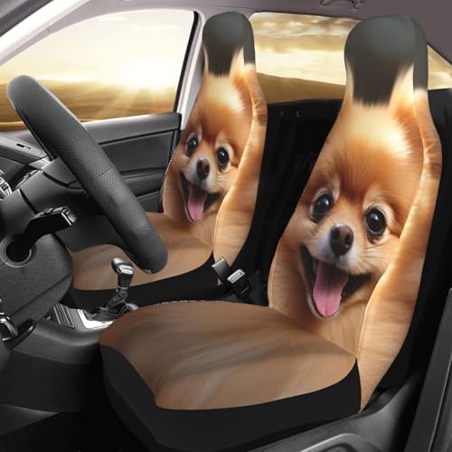 Housse de siège de voiture pour SUV et auto - Lot de 2 protections lavables motif Poméranie