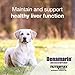 Nutramax Denamarin Liver Health Supplement for Dogs, With S-Adenosylmethionine (SAMe) and Silybin, 30 Chewable Tablets