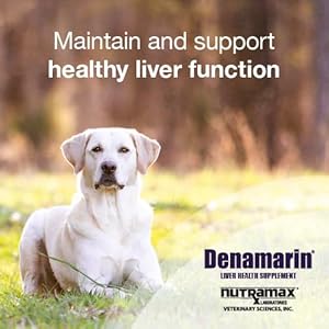   Nutramax-Denamarin-Liver-Health-Supplement-for-Dogs-With-S-Adenosylmethionine-SAMe-and-Silybin-30-Chewable-Tablets