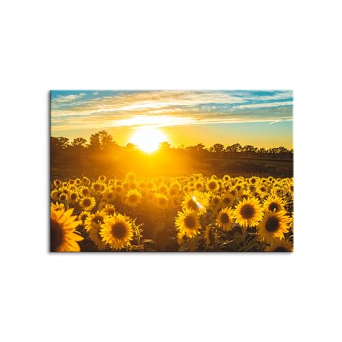 G |X^[  i CeA zt  Ђ܂̊G A[gpl Ǌ| Ǐ蕗 J^ rO  ؘgt̊i?