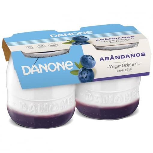 DANONE YOGUR POSTRE ORIGINAL VIDREO 2X130g PACK 6 Und CON ARANDANOS