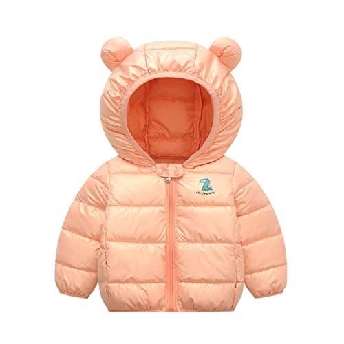 Toddler Baby Boys Girls Hooded Puffer Jacket Winter Warm Outerwear Dinosaur Bear Ears Coats Hooded Winter Clothes