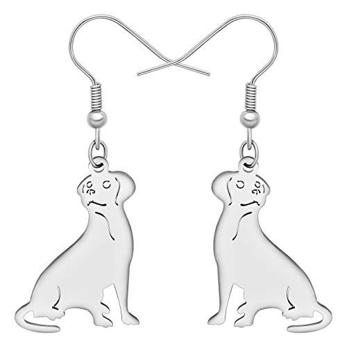 YAYAKO Acciaio Inossidabile Cute Labrador Cane Orecchini Pendenti Gioielli Dainty Orecchini per Ragazza Donna Animali Domestici Cane Amatori Regali (Argento Placcato)