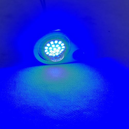 Image of RE Headlight Parking LED /Pilot LED Light Bulbs For RE Reborn Classic 350 (Blue)