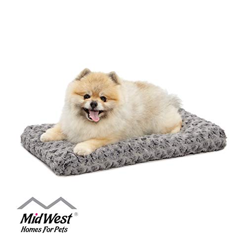 Best Mini Dog Bed