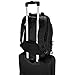 Targus Spruce EcoSmart Travel Laptop Backpack for 15.6 inch Laptops, TSA-Friendly Carry On Backpack Laptop Bag for Work and Travel, Black (TBB013US)