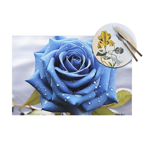 Sets de table lavables en PVC pour protéger votre table des taches - 8