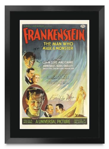 Cartel de Frankenstein enmarcado A3 para decorar tu sala de cine en casa 1