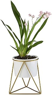 FLOWERPLUS Planter Pot Indoor, 4.33 Inch White Ceramic Medium Succulent Cactus Flower Plant