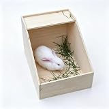 SUNXIAOHE 18x13x12 Wood Box