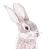 FÜR JEDEN ANLASS: Sei es für Ostern, eine Gartenparty oder zum Familienfrühstück, diese farbenfrohen Servietten verleihen Ihrem Esstisch bei jeder Feierlichkeit einen tollen frühlingshaften Touch.