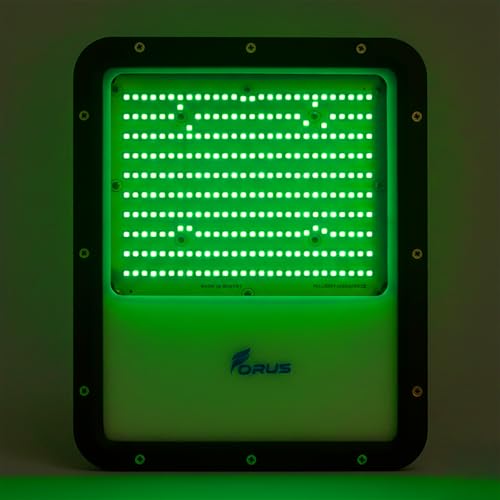 Image of Forus 200W LED Flood Light IP67 Waterproof, Green Outdoor Decorative Floodlight for Garden Decor, Landscape, Parking, Warehouse, High Mast Security Light with 4 Year Warranty