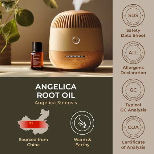 Image of 100% Pure Angelica Root Essential Oil - 0.34 Fl Oz - Angelica Root Oil for Hair, Skin, Diffuser, Aromatherapy & DIY Candle Making Scent