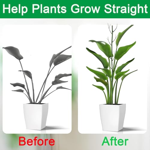 Monstera Support pour pothos vigne fleurs potager extérieur - 6