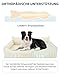 Favodormir Orthopädisches Hundebett,Wasserdicht Kunstleder Hundesofa-91x68 cm für Mittelgroße Hunde,Hundekorb mit Eierkisten-Schaum,Abnehmbarer Waschbar Hundekissen,rutschfeste Hundebetten,Beige
