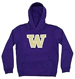 NCAA Youth Boys 8-20 Washington Huskies Sueded Team Logo Fan Hoodie, X-Large (18-20)