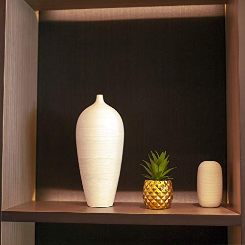 Blascool Artificial Succulent Pineapple Room Decor - House Greenery For Hotel Restaurant Home Office Kitchen Table (01 Gold) #TOP4