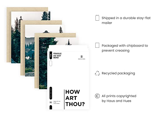 Haus And Hues Forest Wall Art - Set Of 3 Scenic Nature Artwork, Poster Mountains Landscape, Forest Photography, Tree, Pictures For Living Room Scenery (12X16, Unframed) #TOP2