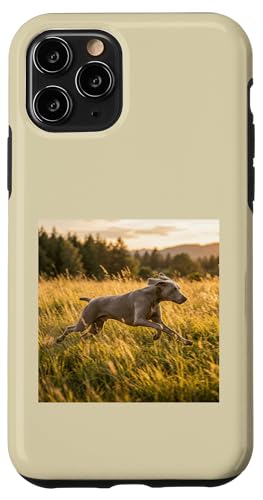 Weimaraner �����j���O���h�E �T���Z�b�g �t�B�[���h �V�[�� �X�}�z�P�[�X iPhone 11 Pro �p