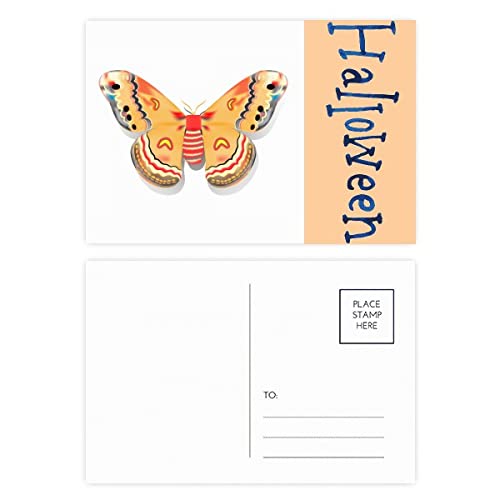 Cartes postales 3D papillon chinois orange à offrir en cadeau de correspondance raffiné
