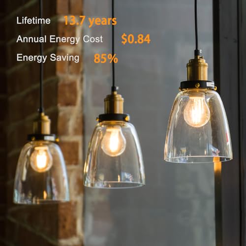 TJOY-12-Pack-A19-Vintage-LED-Edison-Bulbs-Dimmable-Light-Bulb-60W-Equivalent-High-Brightness-2700K-Warm-White-7W-E26-Standard-Base-800Lumens-CRI80-Clear-Glass-Filament-Bulb-for-Home-Farmhouse