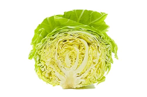 国内産 春キャベツ 1/2カット