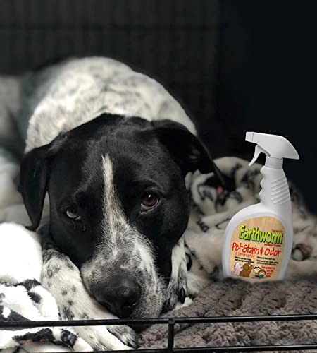 Image of Earthworm Pet Stain Remover & Odor Eliminator - Urine Eliminator Natural Enzyme Formula, Fragrance Free Spray - 22 oz