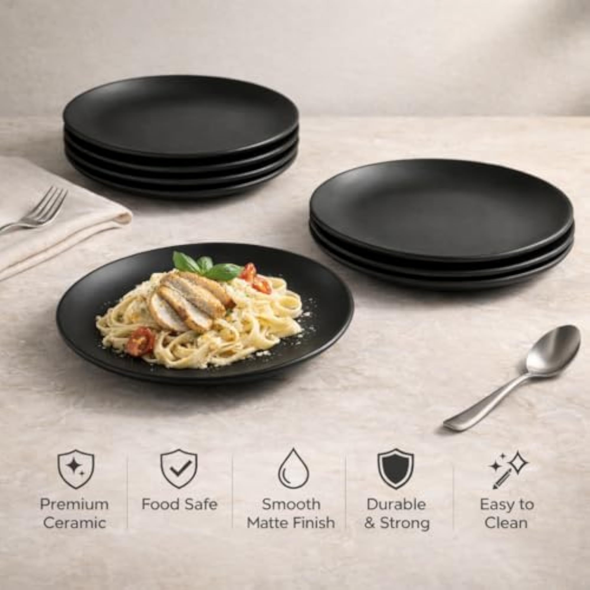 Ceramic Dinner Plates Set of 2, Matt Black