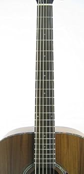 Amazon | Tokai （トーカイ）/ CAT'S EYE (キャッツアイ) CE55T