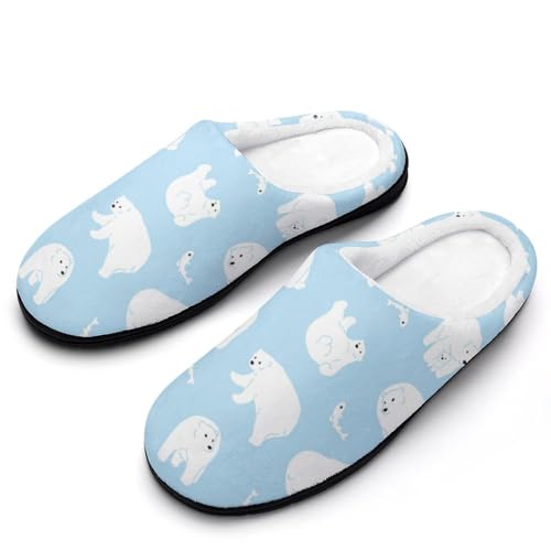 [ZKCASA] Xbp F VN}  킢 [V[Y   qp h  g 􂦂 ~ jp I[V[Yp 11-12i44-45j