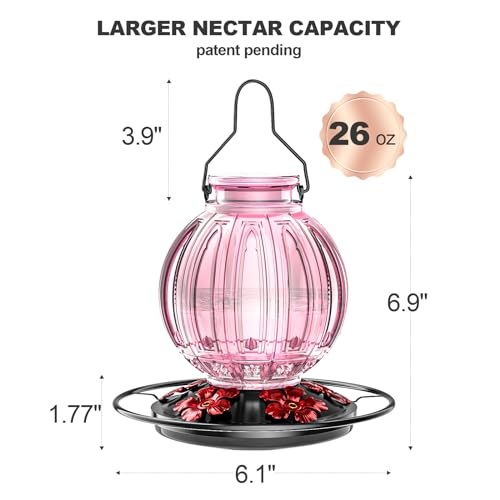 image for Grete Gotye Glass Hummingbird Feeder for Outdoors Hanging, Bird Nectar