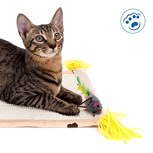 Nobleza Kratzmatte Katze, Kratzteppich Sisal für Katzen, Natürliche Katzenkratzbretter schützt Teppiche und Sofas (45x34cm, Braun) - 5