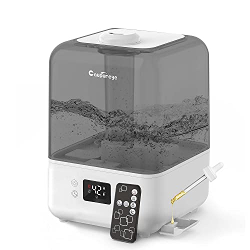 Meilleur Humidificateur d