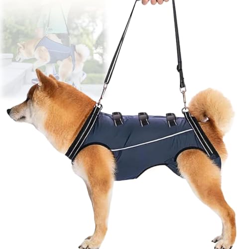 Waraku Market-pn[lX  pn[lX s⏕ V  pi EȒP V//p//aC ^ ^   r Q nr U  ̑Oƌ둫̕⏕ o֗ (lCr[,L)