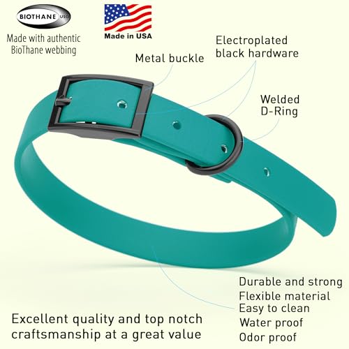 Image of Dogline Biothane Waterproof Dog Collar Strong Coated Nylon Webbing with Black Hardware Odor- Proof for Easy Care Easy to Clean High Performance Fits Small Medium or Large Dogs, Blue Aqua