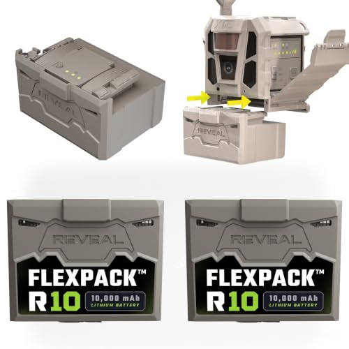 TACTACAM Reveal FlexPack R10 2-Pack Rechargeable Lithium Battery Pack