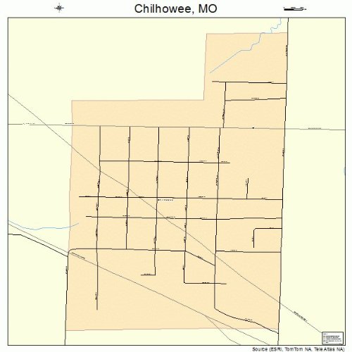 Large Street & Road Map of Chilhowee, Missouri MO Printed poster size