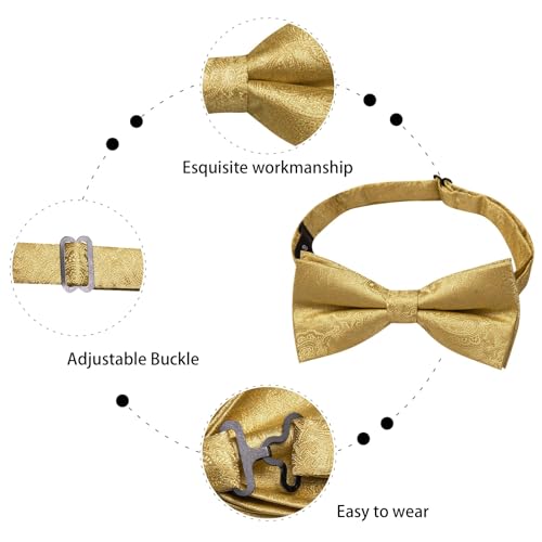 Image of Dubulle Mens Paisley Striped Bowtie Set Pre-tied Bowtie for Men and Pocket Square Set Wedding Business