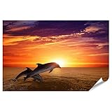 islandburner XXL Bild Poster Delfine Im Sonnenuntergang 