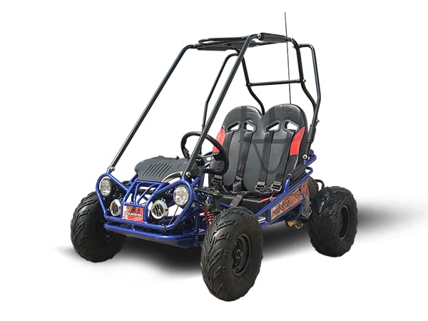 Mini XRX/R+ Go Kart with Reverse Top of The line. Age up to 10 Years Old Pedals and Seats Adjust (Blue)