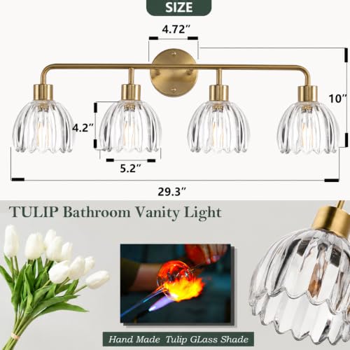 Image of 4-Light Gold Brass Bathroom Light Fixture with Clear Tulip Glass Shade,Wall Sconces,Vintage Vanlity Light Over Mirror,Bathroom Wall Light,E26 Socket(Bulbs Not Included) ASIN B0FVG